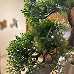 A&nd Apartment